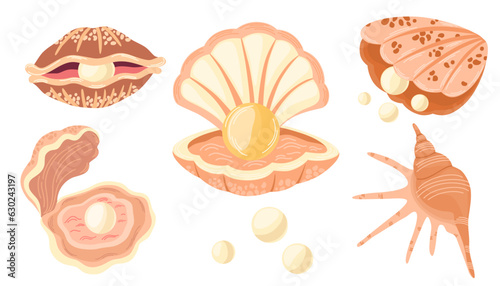 Shells with pearl set. Sea treasure, jewel, underwater world. Vector hand draw illustration isolated on the white background. 