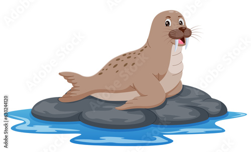 Cartoon walrus on the rock isolated on white backround. Vector illustration