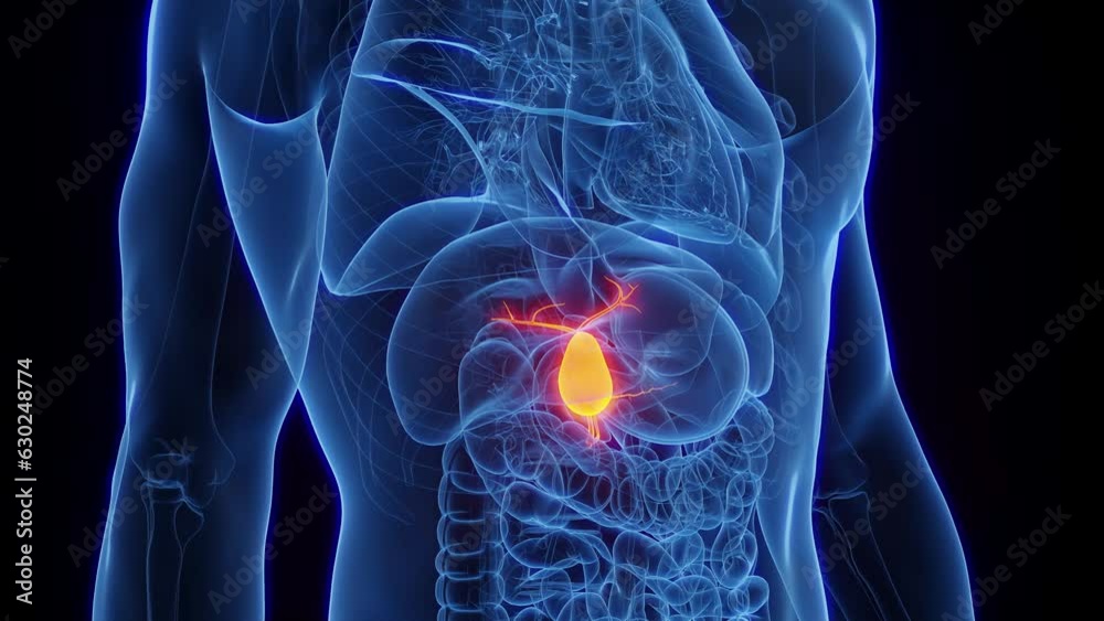 Animation of a healthy man's gallbladder