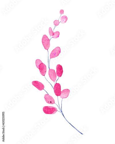 pink branch on white