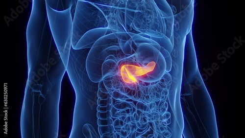Animation of a healthy man's pancreas