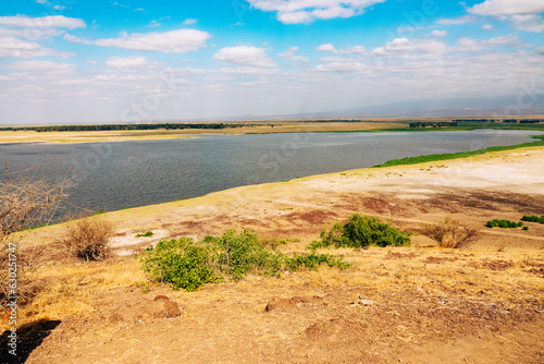 A panoramic view of the Enkongo Narok Swamp at Amboseli National Park  Kenya