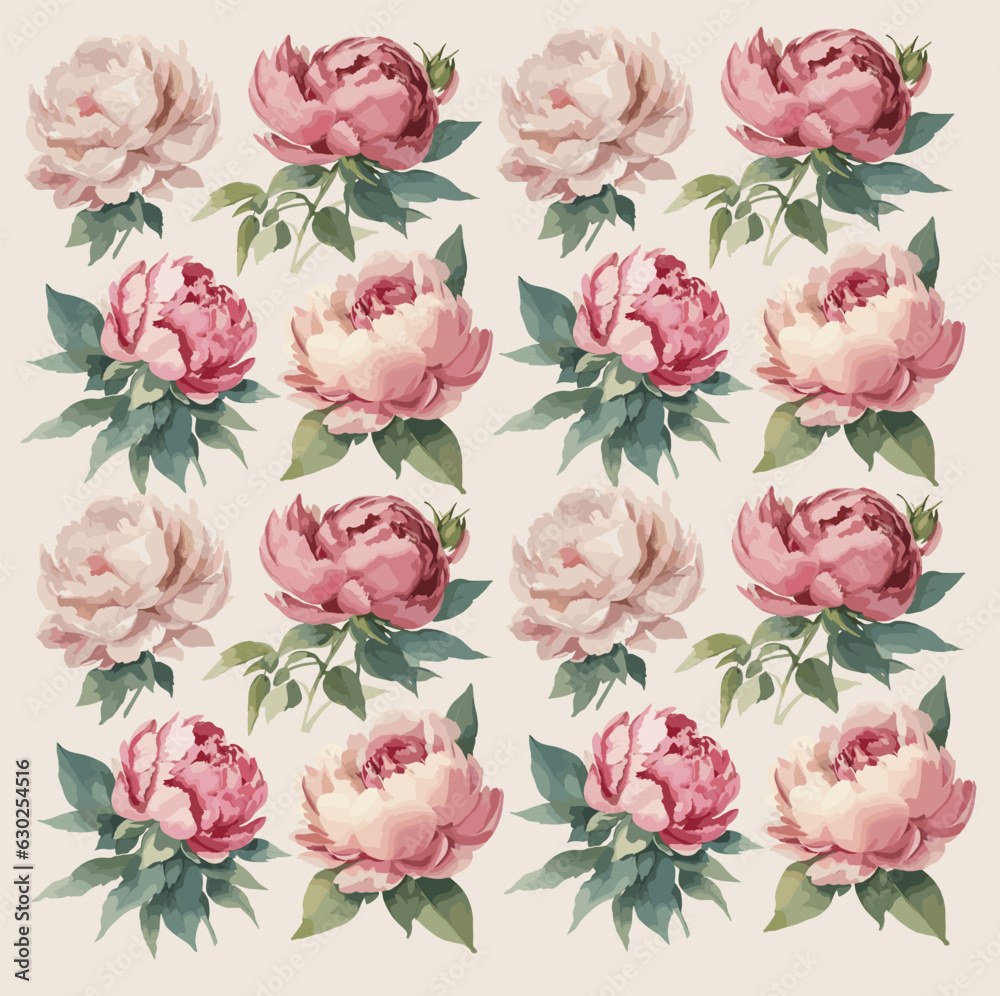 Watercolor  Peony flower , Pattern Vector Images , wedding flower pattern