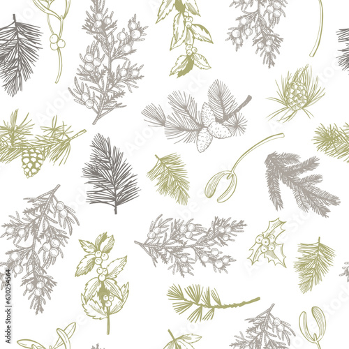Vector   pattern with Christmas plants