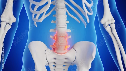 Animation of the lumbar vertebra of a male human photo