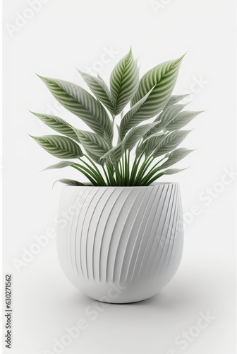 houseplant in pot isolated white background, interior design, botanical concept. Generative AI photo