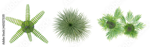 Set of plant in a pot on top view isolated on transparent background, 3d render.