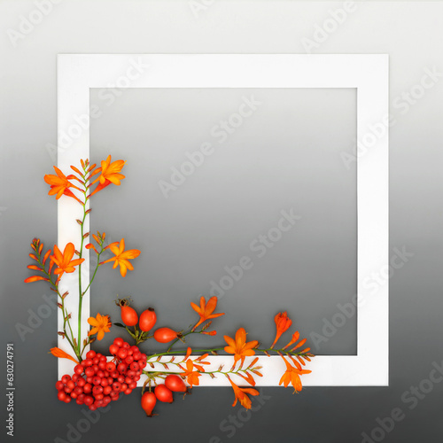  Autumn Fall Thanksgiving festive nature background frame with crocosmia lily flowers and berry fruit with white frame on gradient gray. Greeting card, invitation, menu, label design.