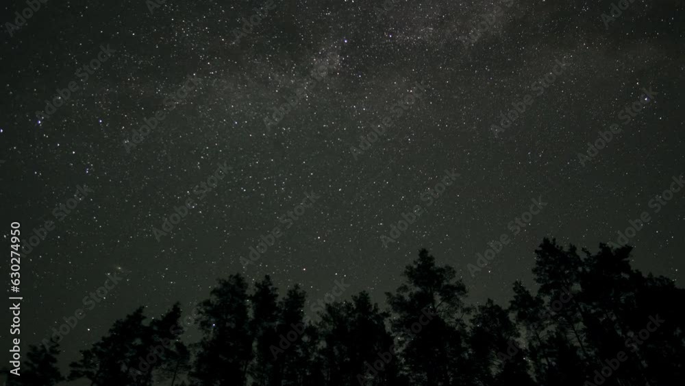 Timelapse of The Milky Way galaxy moves above the silhouettes of trees Timelapse of The Milky Way galaxy moves above the silhouettes of trees