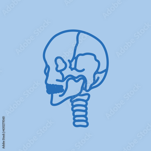Jaw joint