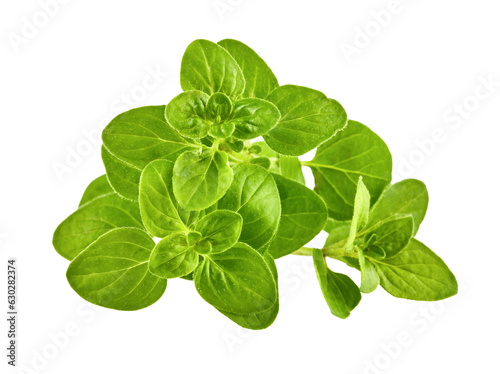 Oregano Herb green leaves bunch. Fresh oregano spicy herb for cooking. Gardening farming, isolated on white background. PNG © Yasonya