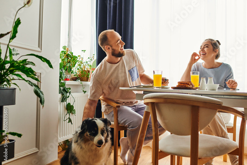Joyful woman in homewear having tasty breakfast with boyfriend near border collie dog at home
