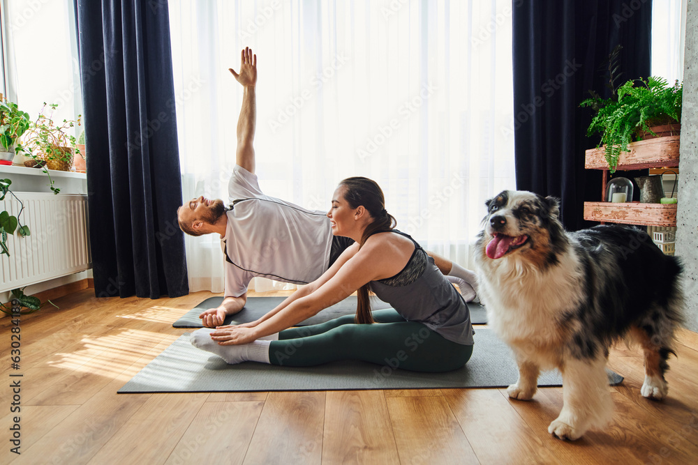 Positive couple in sportswear training on fitness mats near border collie dog at home