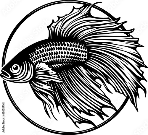 Beta Fish - High Quality Vector Logo - Vector illustration ideal for T-shirt graphic