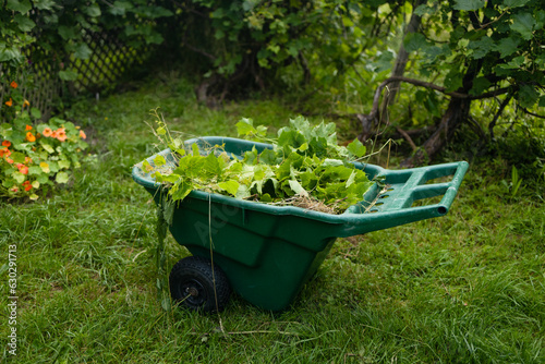 Gardening work in a summer garden, green wheelbarrow full of weeds. wheelbarrow and branches, gardening in spring