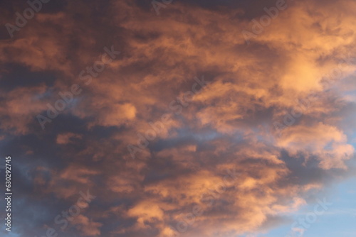 ciel
