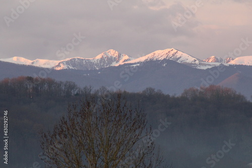 pyrénées