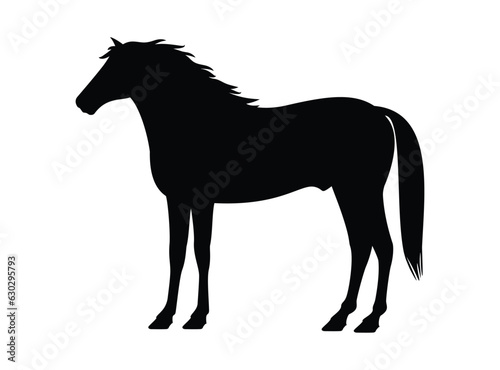 Horse black silhouette isolated on white, vector illustration