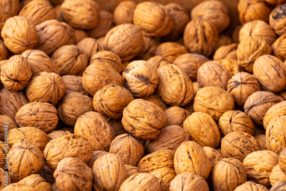 Natural walnut background pattern texture walnuts heap pattern background Natural food in-shell nuts walnuts pattern commercial backdrop Natural walnut background pattern texture walnuts heap pattern background Natural food in-shell nuts walnuts pattern commercial backdrop