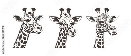 Vector set of cartoon graphic monochrome cute funny portraits of giraffes on a white isolated background.