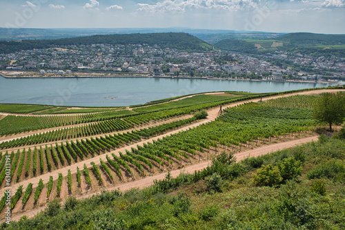 Blick über die Weinberge auf Bingen am Rhein Deutschland photo