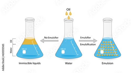 Emulsion, a mixture of two immiscible liquids (oil and water) in beakers, Emulsion oil in water, Immiscible liquids. Emulsification, emulsifier. isolated on white background. Vector illustration. photo