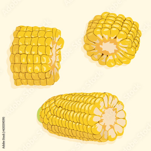 Vector realistic image of pieces of corn