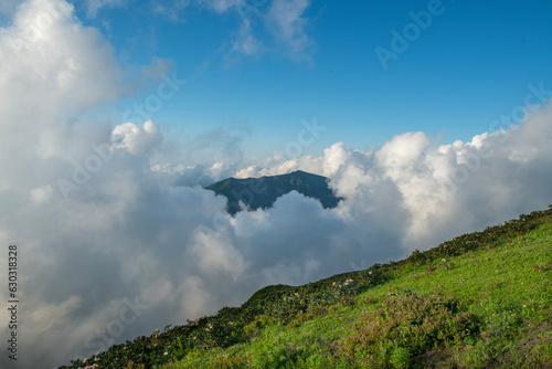 Cloudy mountains. Mountains in clouds at sunrise in summer. Aerial view of mountain peak with green trees in fog. Top view of mountain valley in low clouds from drone. Rize Huser plateau  T  rkiye