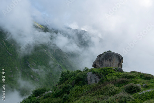 Cloudy mountains. Mountains in clouds at sunrise in summer. Aerial view of mountain peak with green trees in fog. Top view of mountain valley in low clouds from drone. Rize Huser plateau, Türkiye © osman