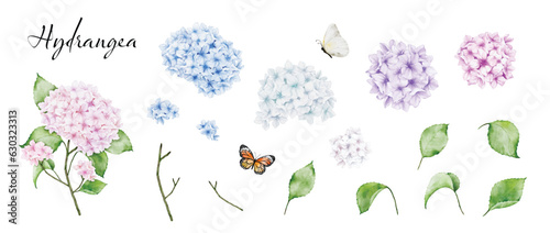 Set of watercolor elements with multicolored hydrangea bouquets
