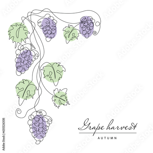Grape. Continuous line drawing grapevine. Illustration of autumn harvest fruits. Frame.