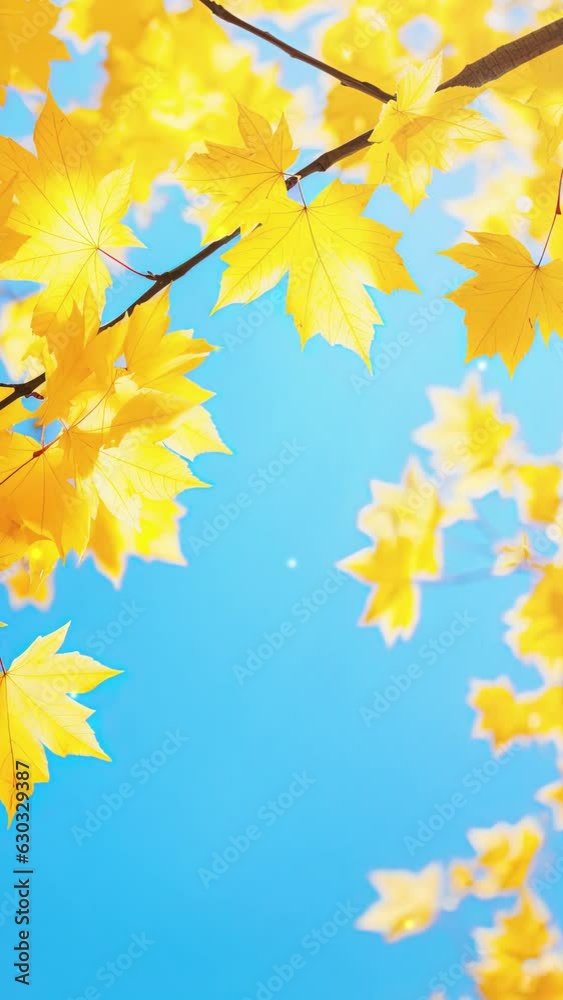Branches with beautiful green and yellow leaves on autumn sunny day, close-up. Vertical video Branches with beautiful green and yellow leaves on autumn sunny day, close-up. Vertical video