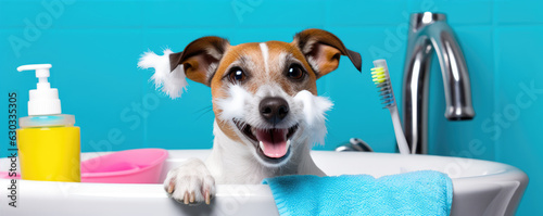 cleaning dog, wide banner