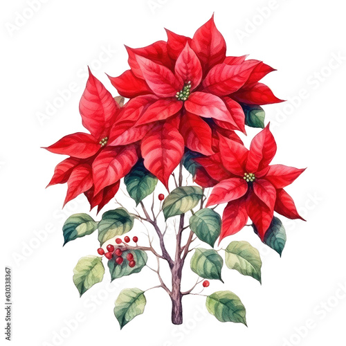 christmas flower