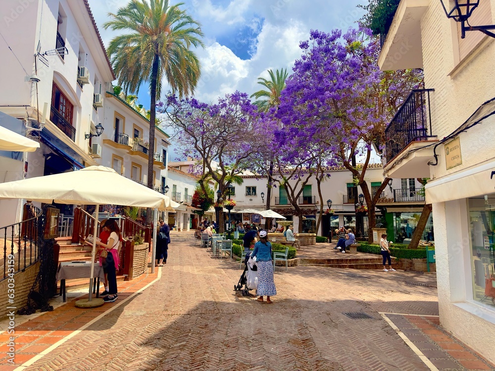 beautiful Plaza de la Victoria with palm trees and purple flowering rosewood trees in the old town of Marbella, Málaga, Andalusia, Spain