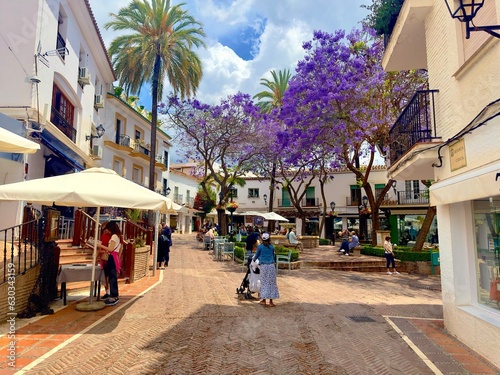 Canvas Print beautiful Plaza de la Victoria with palm trees and purple flowering rosewood tre