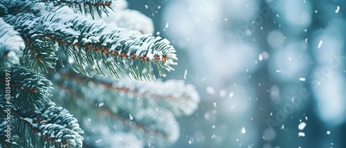 Un sapin enneigé durant l'hiver