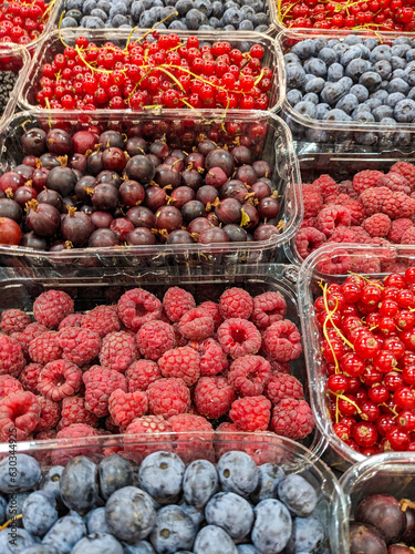 Variety of summer berries - raspberries, red currants, gooseberries and blueberries