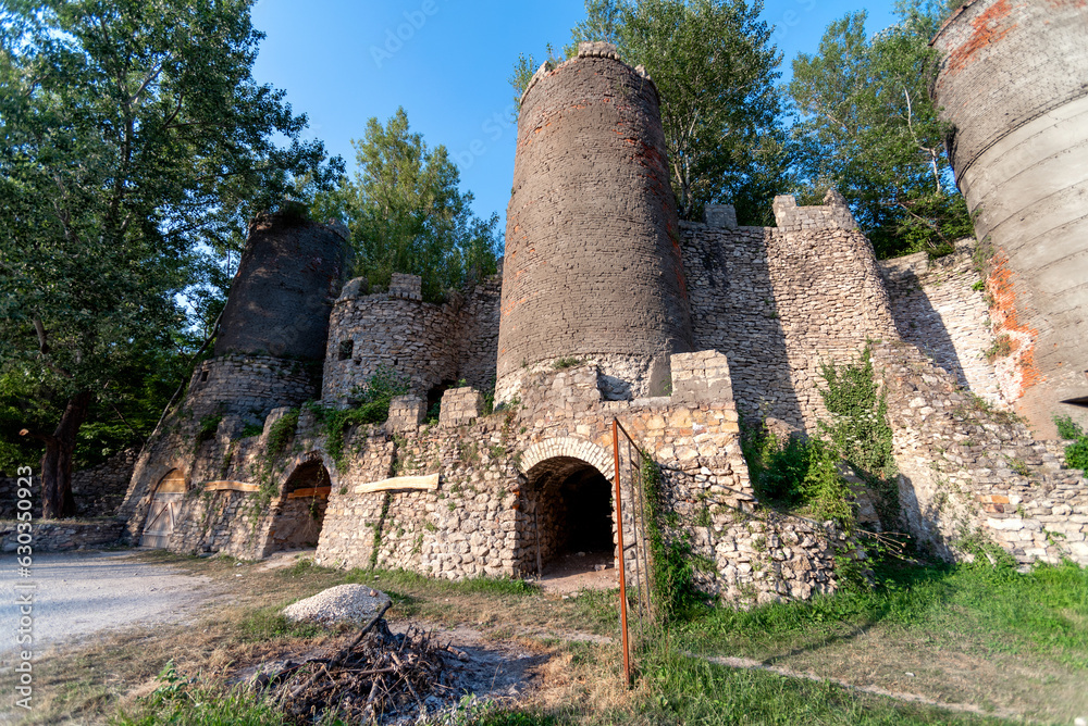 medieval castle without people in the forest