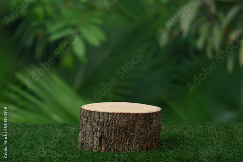 Wood tabletop podium floor in outdoors blur green leaf tropical forest nature landscape background.cosmetic natural product mock up placement pedestal stand display,jungle summer concept.