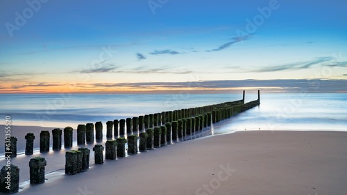 Fototapeta Naklejka Na Ścianę i Meble -  Weathered wooden posts on Dutch beach in winter. It is low tide 