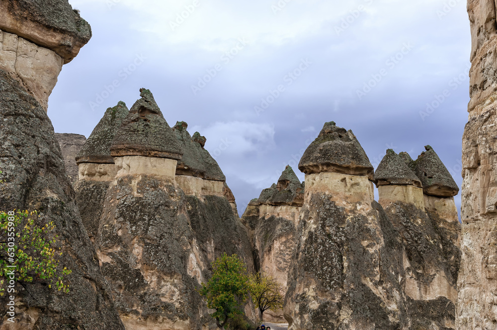 Rock formation, Fairy Chimneys, Cappadocia, Turkey, Unesco World Heritage Site