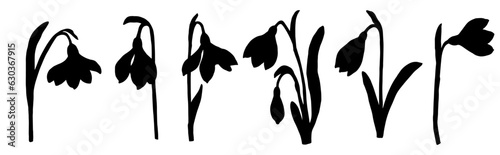 Set of silhouettes of flowers and snowdrop buds.Vector graphics.