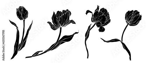 Set of silhouettes of flowers and buds of tulips.Vector graphics.