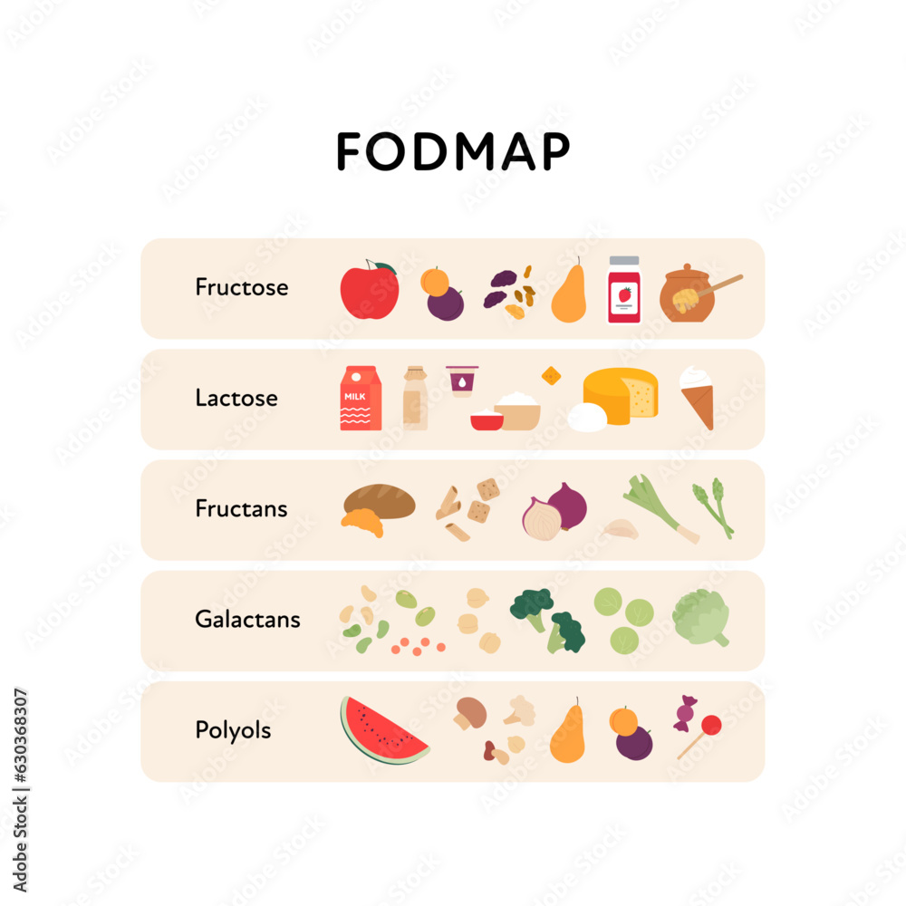 Healthcare Dieting Infographic Collection Vector Flat Food Illustration Low Fodmap Diet Types Healthcare Dieting Infographic Collection Vector Flat Food Illustration Low Fodmap Diet Types