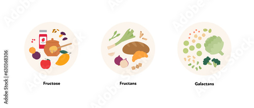 Fototapeta Naklejka Na Ścianę i Meble -  Healthcare dieting infographic collection. Vector flat food illustration. Low Fodmap diet. Foodplate of fructose, fructan, galactan ingredients. Design for health care and healthy eating