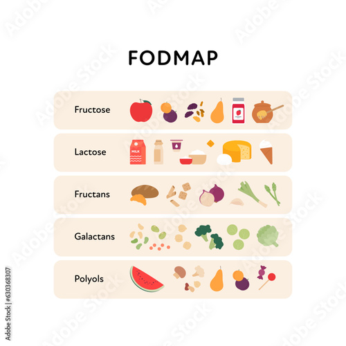 Healthcare dieting infographic collection. Vector flat food illustration. Low Fodmap diet. Types of fructose, lactose, fructan, galactan, polyol product. Poster design for healthy eating guide