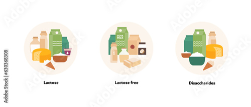 Healthcare dieting infographic collection. Vector flat food illustration. Low Fodmap diet. Foodplate of lactose, lactose free and disaccharide ingredients. Design for health care and healthy eating photo