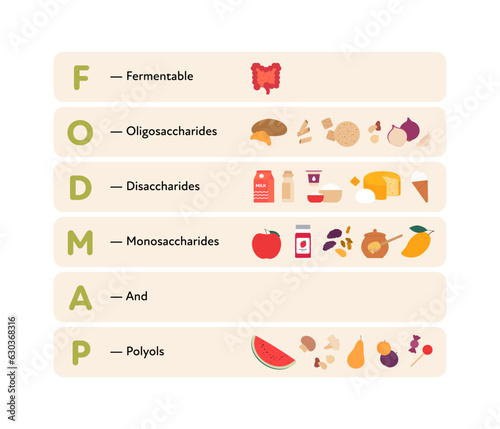 Healthcare dieting infographic collection. Vector flat food illustration. Low Fodmap diet product concept with product types. Poster design for healthy eating guide