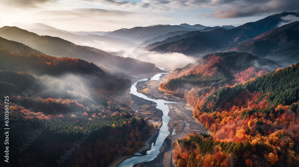 Fototapeta premium 日本の渓谷